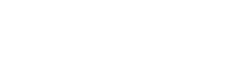 MAGNESONIC logo band logo